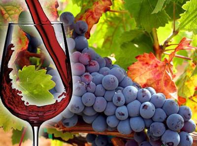 varietal.jpg