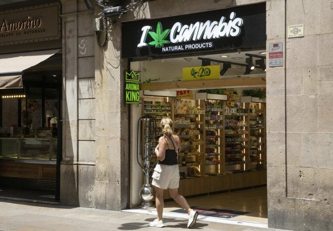    Cannabis Store