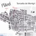 Подробнее о "Подробная карта города Торроэлья-де-Монгри"