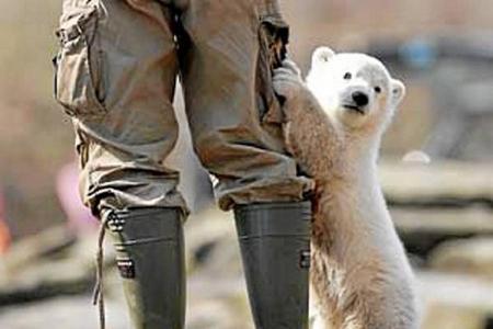 шутки детские.jpg