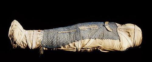 выставка египет 2.jpg