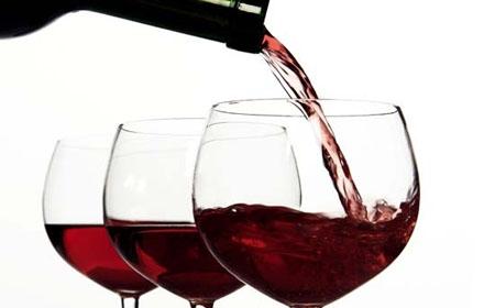 ярмарка вина.jpg