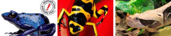 выставка ядов, барселона.jpg