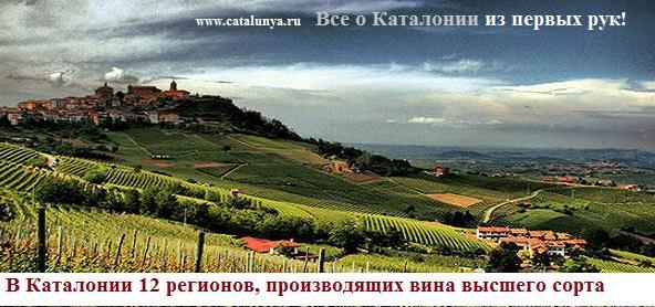 вина в испании каталония.jpg