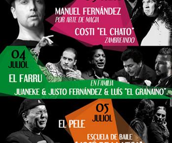 Фестиваль фламенко ElFestival Flamencod’Estiu 2014.jpg