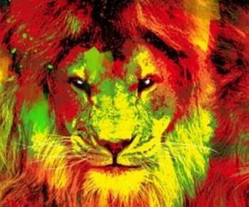 ФестивальTrashAn' ReadyReggae 2014.jpg