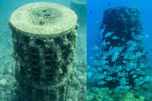 экологические буи.jpg