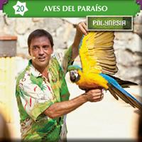 порт авентура шоу, aves del para i so.jpg