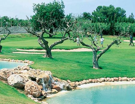 Гольф-клуб Reus Aiguesverds ....jpg