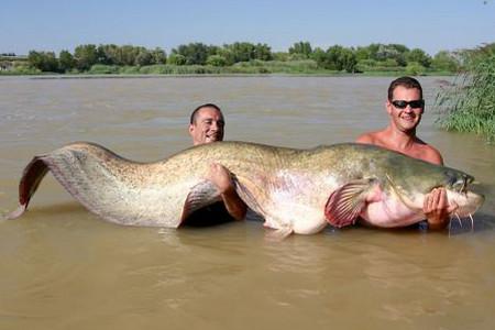 Река Эрбо.jpg