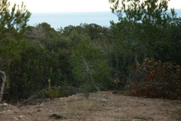 участок с видом на море в испании (2).jpg