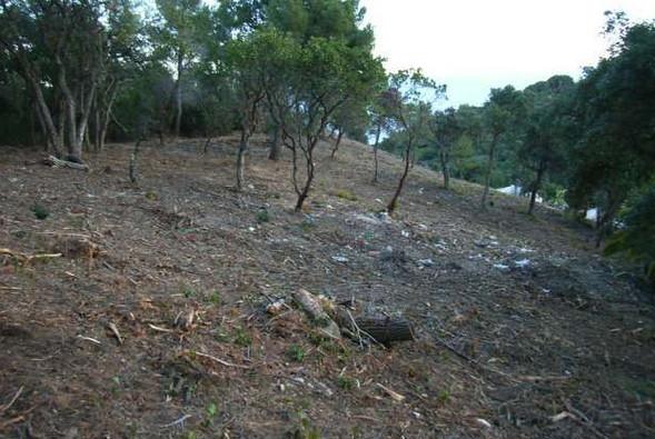 участок с видом на море в испании (5).jpg