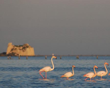 река эбро ..jpg