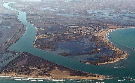 дельта реки эбро.jpg