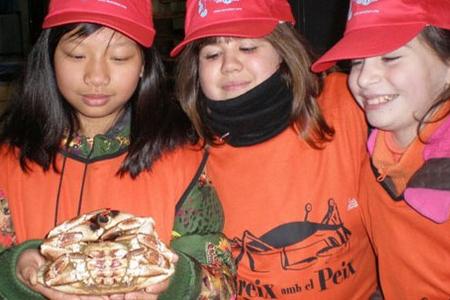 рыбный музей, музеи барселоны..jpg