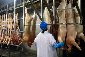 Подробнее о "По производству свинины Испании перегнала лидера ЕС Германию"