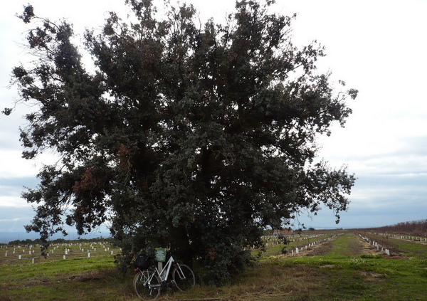 испания фото достопримечательностей, город alcarras испания 3.jpg