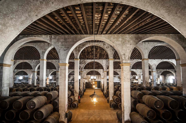 винодельческий бизнес 2.jpg