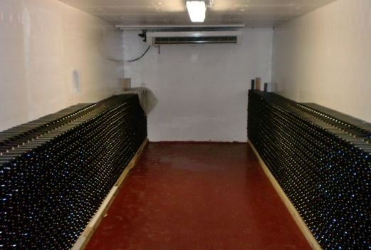 купить винодельню.jpg