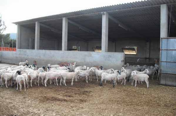 купить ферму в испании.jpg