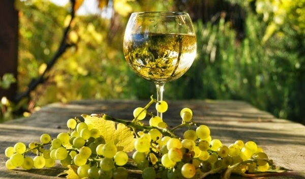 винодельческий бизнес 4.jpg