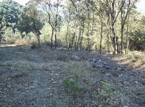 купить усадьбу в испании.jpg