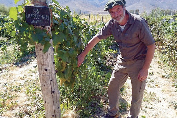 винодельческий бизнес 1.jpg