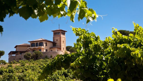 винодельческий бизнес 2.jpg