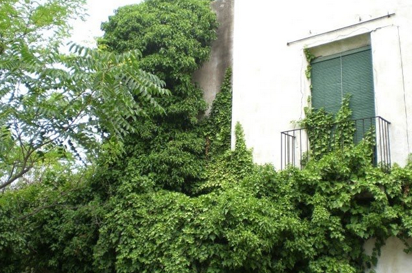 усадьбы испании.jpg