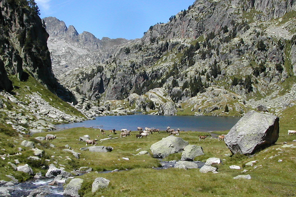 лерида испания 6.jpg