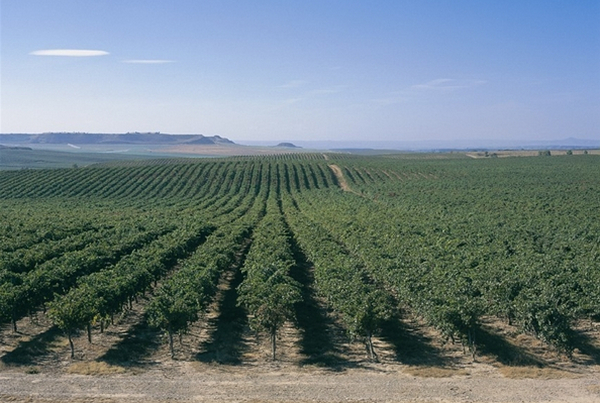 лерида испания 8.jpg