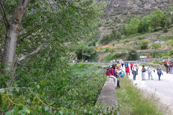 el pont de bar 2.jpg