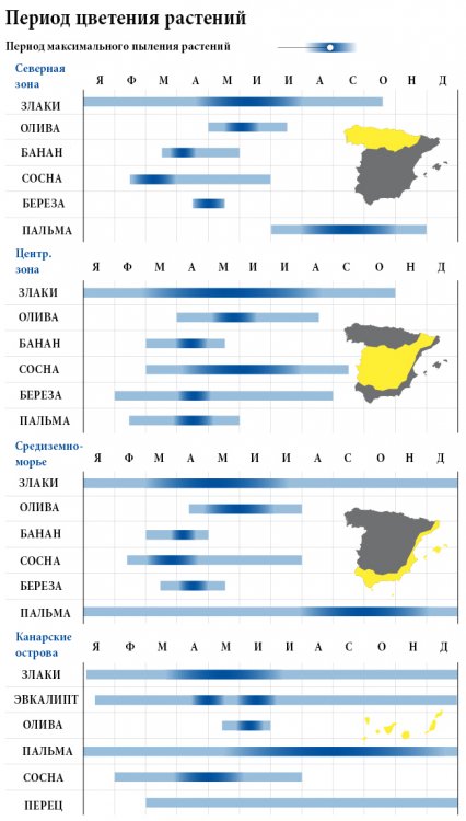 медицина испании 2.jpg