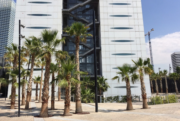 оспиталет де льобрегат 4.jpg