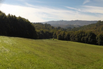 ферма в испании 2.jpg