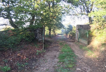 ферма в испании 5.jpg