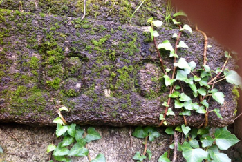 усадьба в испании 1.jpg