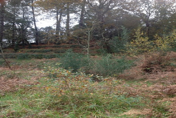 усадьба в испании 2.jpg