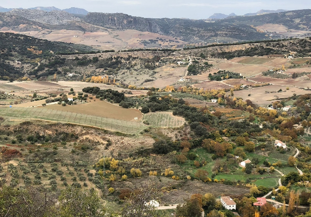 ферма в испании.jpg