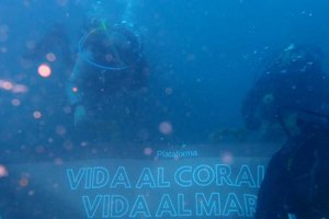 Подробнее о "На Коста Брава проходят подводные демонстрации против добычи красных кораллов"
