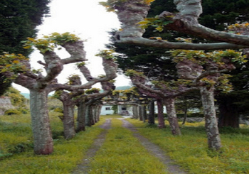 Дворец в Астурии  1.jpg