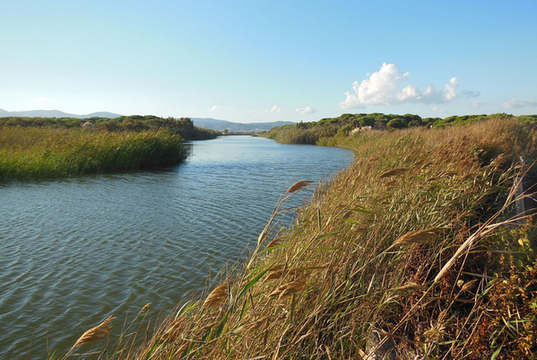 парки барселоны 2.jpg