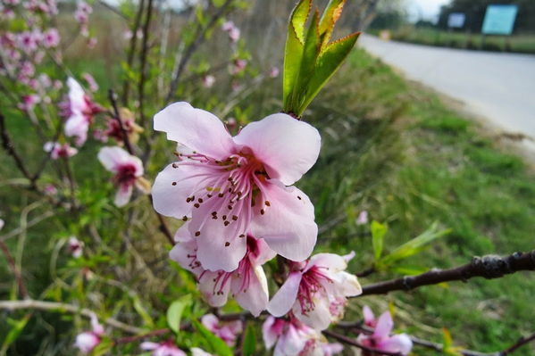 парки барселоны 5.jpg