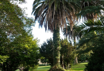 дом в индианосе 5.jpg