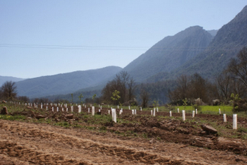 усадьба в huesca (5).jpg