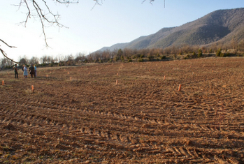 усадьба в huesca (13).jpg