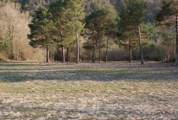 усадьба в huesca (16).jpg