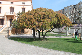 вилла в уэска 2.jpg