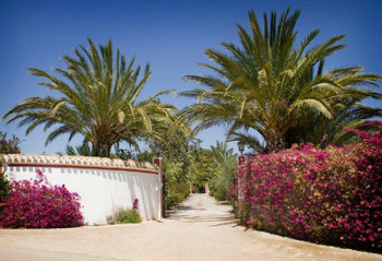 вилла в murcia 4.jpg