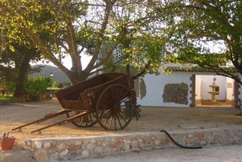 усадьба в Валенсии 5.jpg